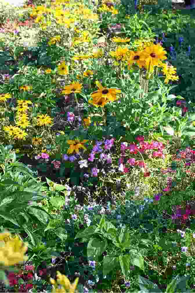 A Colorful Butterfly Garden Filled With Nectar Plants Backyard Birds: Welcomed Guests At Our Gardens And Feeders (Wildlife Appreciation)