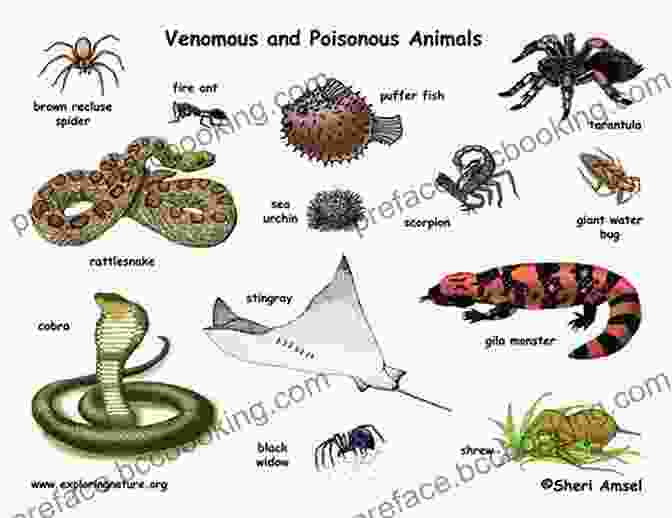 A Diverse Group Of Venomous Animals, Coexisting Harmoniously In Their Natural Habitat. Venom Marilyn Singer