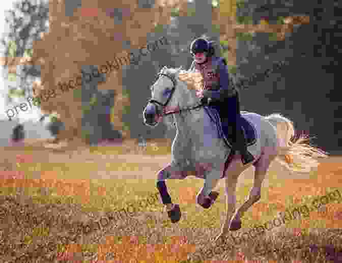 A Horse And Rider Galloping Through A Field Horse Girls: Recovering Aspiring And Devoted Riders Redefine The Iconic Bond