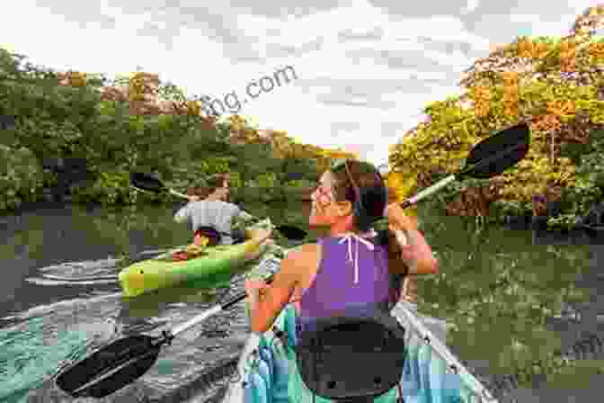 A Kayaker Paddling Through The Tranquil Waters Of Watt Key, Surrounded By Lush Mangroves Deep Water Watt Key