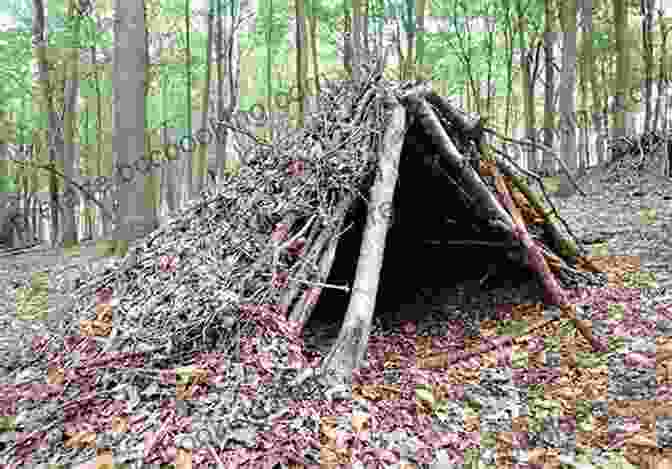 A Man Building A Shelter In The Wilderness Survival Tips Tricks And Traps