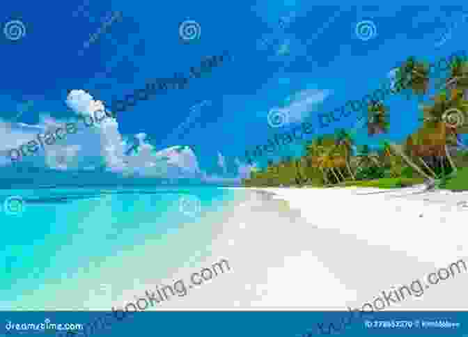A Panoramic View Of Watt Key, Showcasing Its Pristine Beaches, Lush Vegetation, And Tranquil Waters Deep Water Watt Key