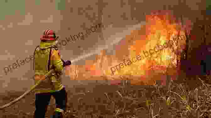 A Photograph Of A Firefighter Battling A Bushfire Firestorm Greg Mullins
