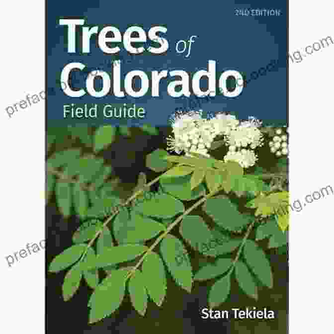 Aspen Trees Trees Of Colorado Field Guide (Tree Identification Guides)