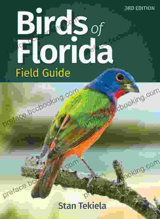Birds Of Florida Field Guide Cover Birds Of Florida Field Guide (Bird Identification Guides)