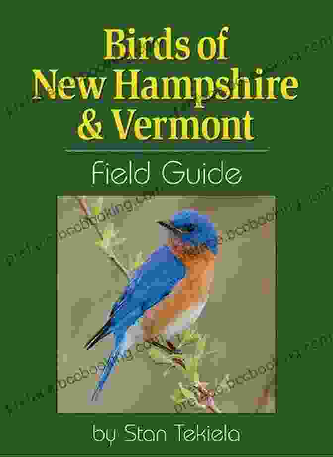 Birds Of New Hampshire Vermont Field Guide Bird Identification Guides Birds Of New Hampshire Vermont Field Guide (Bird Identification Guides)