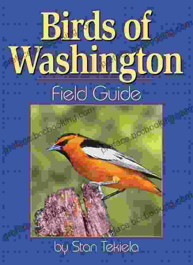 Birds Of Washington Field Guide Cover Birds Of Washington Field Guide (Bird Identification Guides)
