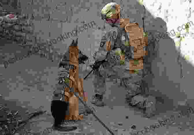 Caesar The War Dog Standing In Front Of An Afghan Flag, With A Soldier Holding His Leash Caesar The War Dog 2: Operation Blue Dragon