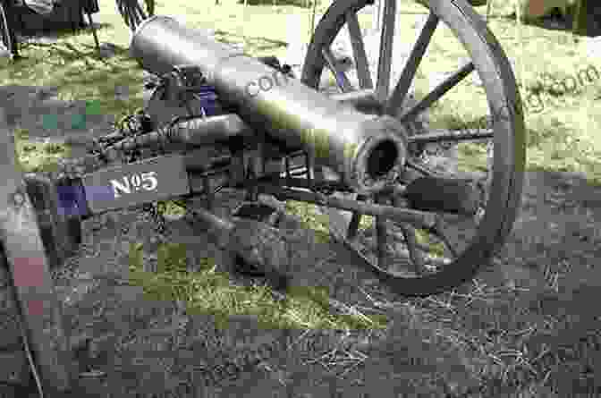 Cannon Types Just Cannon Photos Big Of Photographs Pictures Of Cannons Artillery Vol 1