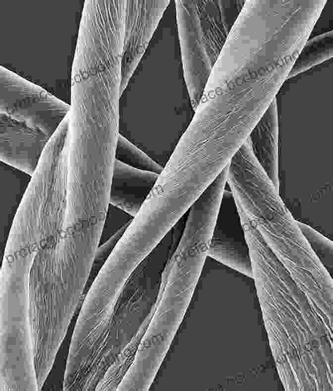 Cotton Fiber Under A Microscope Physical Properties Of Textile Fibres (Woodhead Publishing In Textiles)