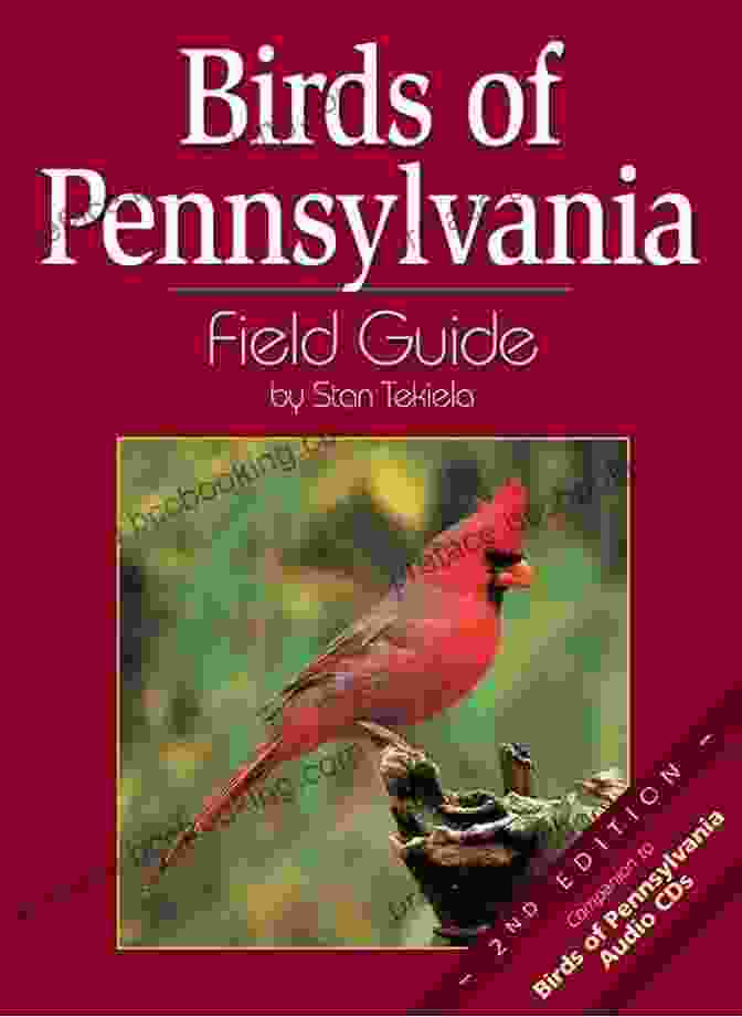 Cover Of The Birds Of Pennsylvania Field Guide Birds Of Pennsylvania Field Guide (Bird Identification Guides)