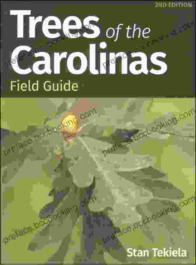 Cover Of Trees Of The Carolinas Field Guide Trees Of The Carolinas Field Guide (Tree Identification Guides)