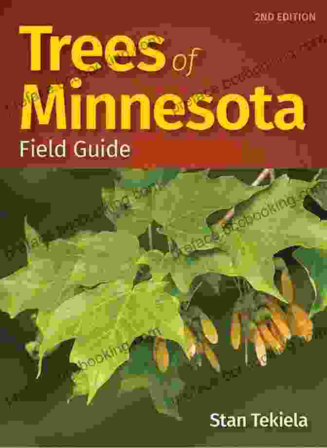 High Quality Images Trees Of Minnesota Field Guide (Tree Identification Guides)