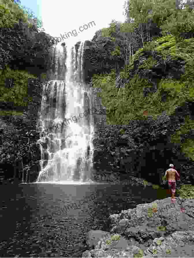 Hike To A Secluded Waterfall On The Big Island Frommer S Hawaii (Complete Guides) Martha Cheng