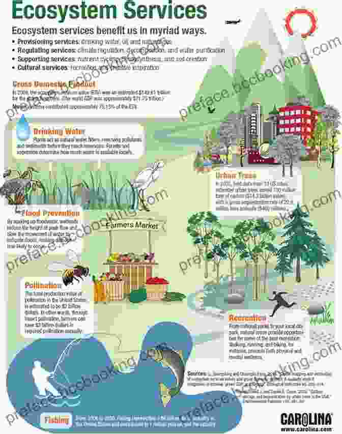 Infographic Depicting The Interconnected Ecosystems Of Gondwana, Including Forests, Grasslands, And Wetlands, Inhabited By Diverse Species Interacting In Complex Food Webs Dinosaur Tracks From Brazil: A Lost World Of Gondwana (Life Of The Past)