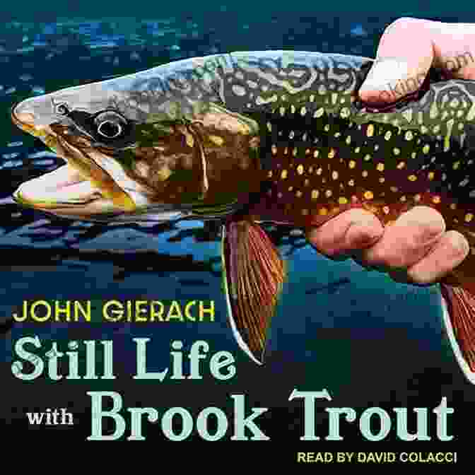 John Gierach Holding A Brook Trout He Caught Still Life With Brook Trout (John Gierach S Fly Fishing Library)