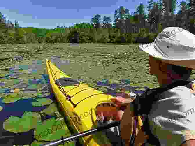 Kayaking Through The Tranquil Waters Of The Mobile Tensaw River Delta Among The Swamp People: Life In Alabama S Mobile Tensaw River Delta