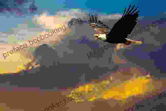Majestic Bald Eagle Soaring Over Texas Landscape Birds Of Texas Field Guide (Bird Identification Guides)