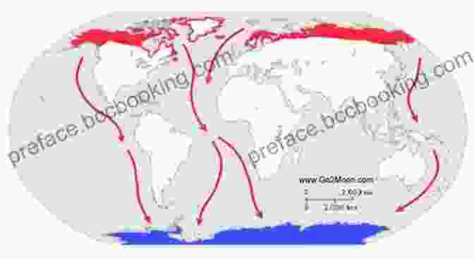 Map Of Arctic Tern Migration Routes Migration: Incredible Animal Journeys Ginjer L Clarke