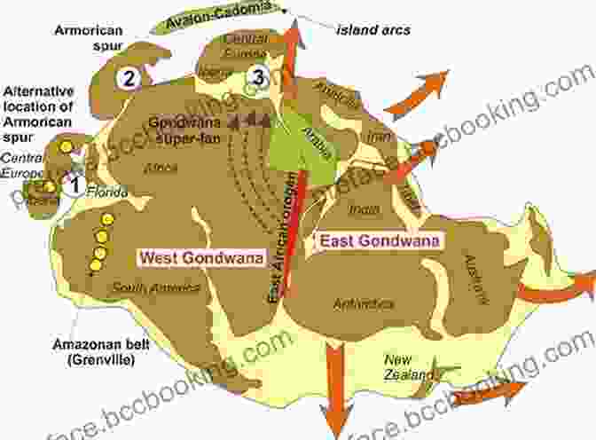 Map Of Gondwana's Gradual Breakup And The Formation Of The Modern Continents, Illustrating The Profound Geological Forces That Reshaped The Earth Over Millions Of Years Dinosaur Tracks From Brazil: A Lost World Of Gondwana (Life Of The Past)
