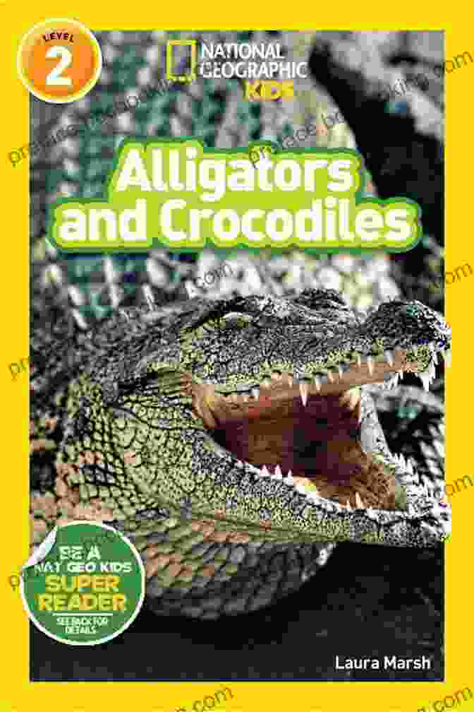 National Geographic Readers Alligators And Crocodiles Book Cover National Geographic Readers: Alligators And Crocodiles