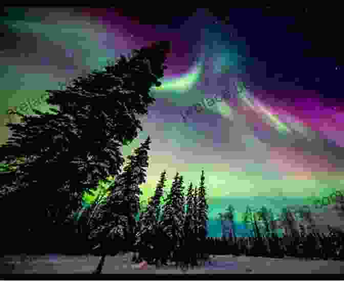 Northern Lights Illuminating The Alaskan Sky Faith Of Cranes: Finding Hope And Family In Alaska