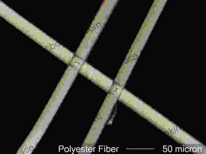 Polyester Fiber Under A Microscope Physical Properties Of Textile Fibres (Woodhead Publishing In Textiles)