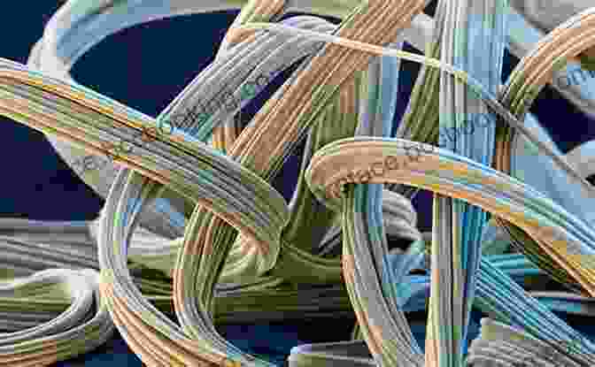 Spandex Fiber Under A Microscope Physical Properties Of Textile Fibres (Woodhead Publishing In Textiles)