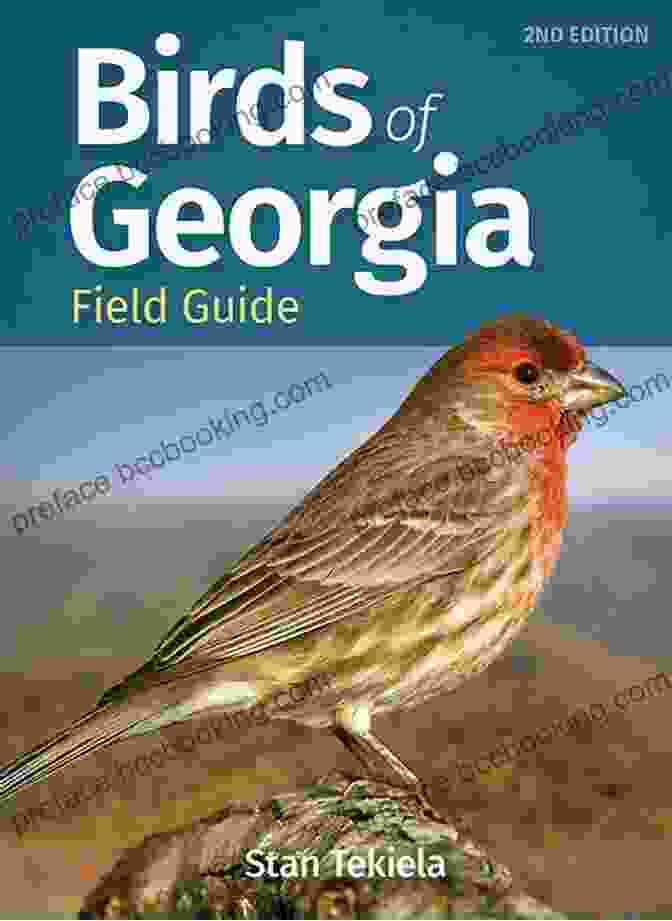 The Kids Guide To Birds Of Georgia Book Cover Featuring A Child Observing Birds The Kids Guide To Birds Of Georgia: Fun Facts Activities And 87 Cool Birds (Birding Children S Books)