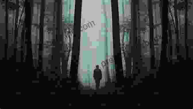 The Killing Zone Book Cover. A Dark Forest With A Silhouette Of A Woman In The Background, Creating An Atmosphere Of Suspense And Mystery. The Killing Zone Richard Dorney
