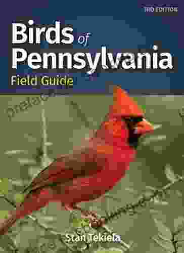 Birds Of Pennsylvania Field Guide (Bird Identification Guides)
