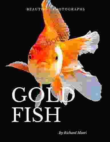 Beautiful Photographs Of Goldfish: A Collection Of Betta Fish Photos (Adorable Animals)