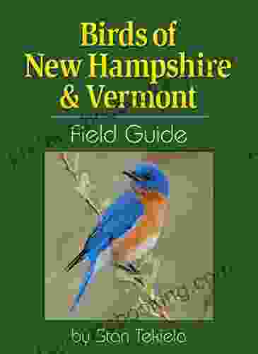 Birds Of New Hampshire Vermont Field Guide (Bird Identification Guides)