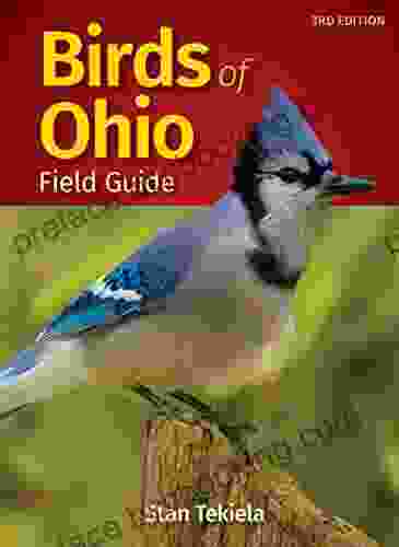 Birds Of Ohio Field Guide (Bird Identification Guides)
