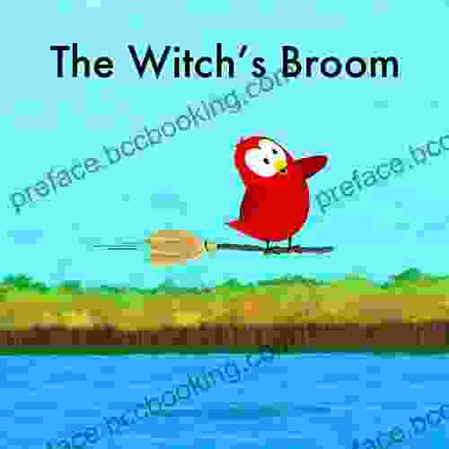 The Witch S Broom (Sammy Bird)