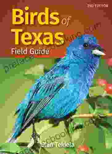 Birds Of Texas Field Guide (Bird Identification Guides)