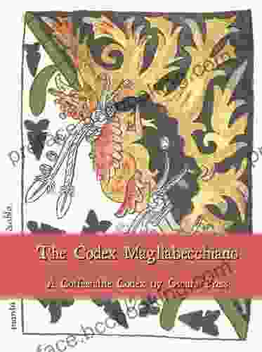 Codex Magliabecchiano Vanessa R Sasson
